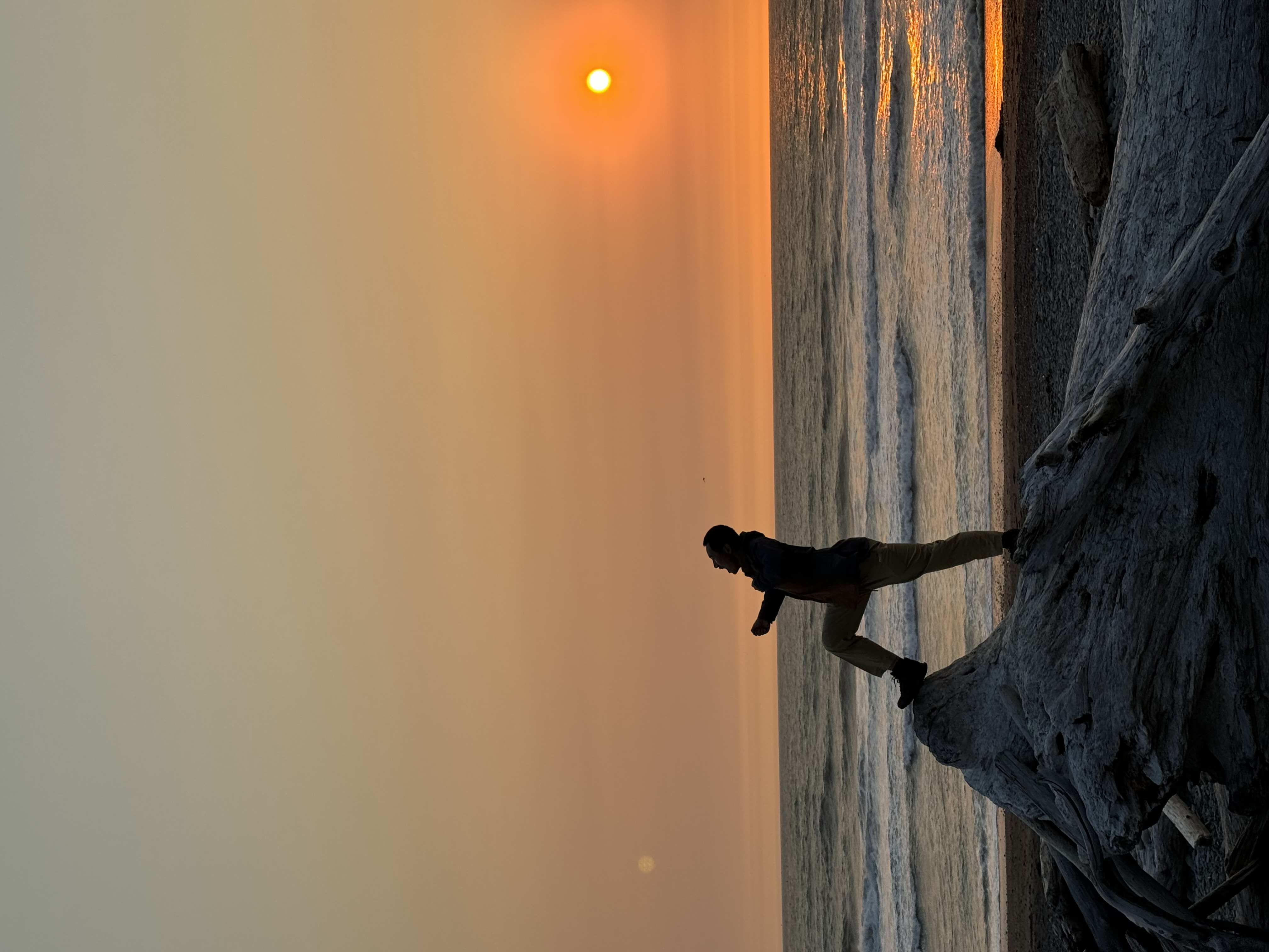 Silhouette on driftwood at sunset along the Pacific coast